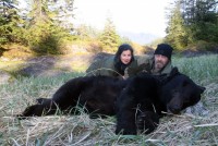 Black Bear 2013 - Black Bear 2013