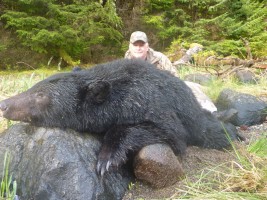 Black Bear 2013 - Black Bear 2013