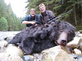 Brown Bear 2011 - Brown Bear 2011 - 1