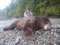 Brown Bear 2012 - Brown Bear 2012 - 11
