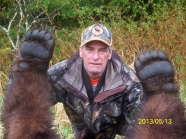 Brown Bear 2013 - Brown Bear 2013 - 2