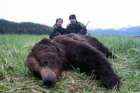 Brown Bear 2013 - Brown Bear 2013 - 3