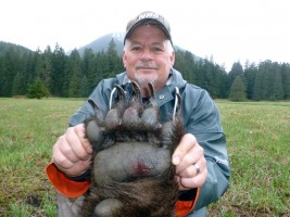 Brown Bear 2013 - Brown Bear 2013 - 5