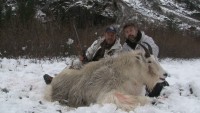 Mountain Goat 2011 - Mountain Goat 2011