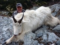 Mountain Goat 2012
