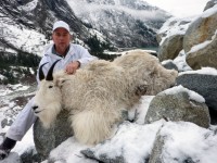 Mountain Goat 2012 - Mountain Goat 2012 - 18