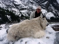 Mountain Goat 2012 - Mountain Goat 2012 - 19