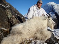 Mountain Goat 2012 - Mountain Goat 2012 - 4