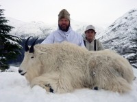 Mountain Goat 2012 - Mountain Goat 2012 - 8