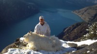 Mountain Goat 2013 - Mountain Goat 2013