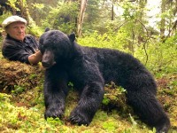 Black Bear - Black Bear 2018 - 1