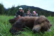 Brown Bear - 1 - 2