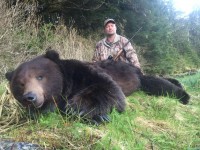 Brown Bear - 1 - 5