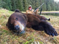 Brown Bear - Brown Bear 2017 - 1