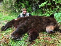 Brown Bear - Brown Bear 2017 - 3