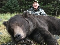 Brown Bear - Brown Bear 2018 - 1