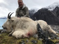 Mountain Goat
