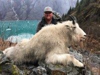 Mountain Goat - Mountain Goat 2018 - 3