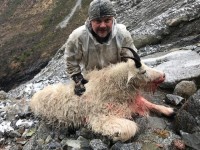 Mountain Goat - Mountain Goat 2018 - 1