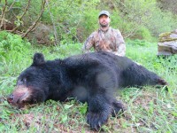 Black Bear - Black Bear 2015